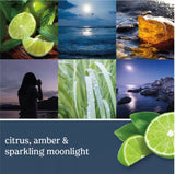 Yankee Classic Jar Candle - Large - Moonlit Cove
