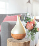 Lively Living Aroma Diffuser Aroma - Bloom