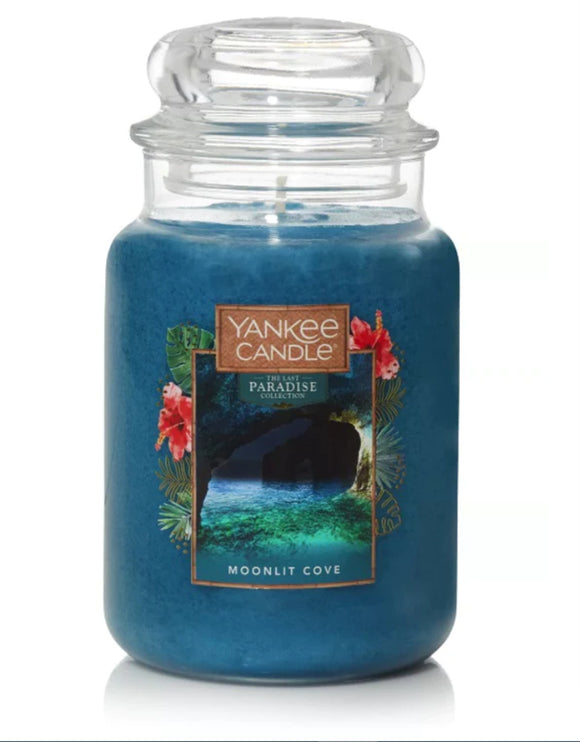 Yankee Classic Jar Candle - Large - Moonlit Cove