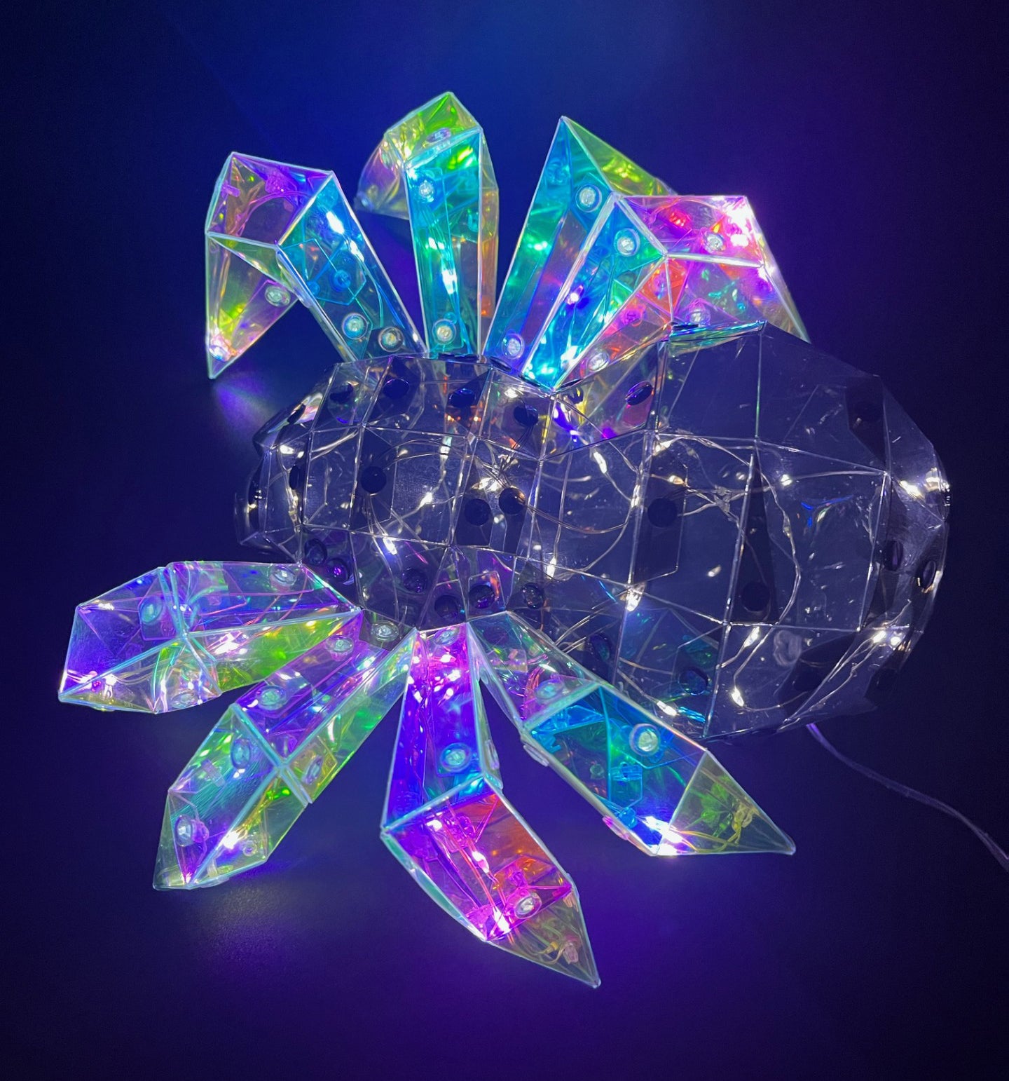 Halloween Spider Starlightz LED USB Spider Neon Night Lights