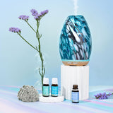 Lively Living Aroma Swish Diffuser 5 in 1 Colour Changing Diffuser - Peacock